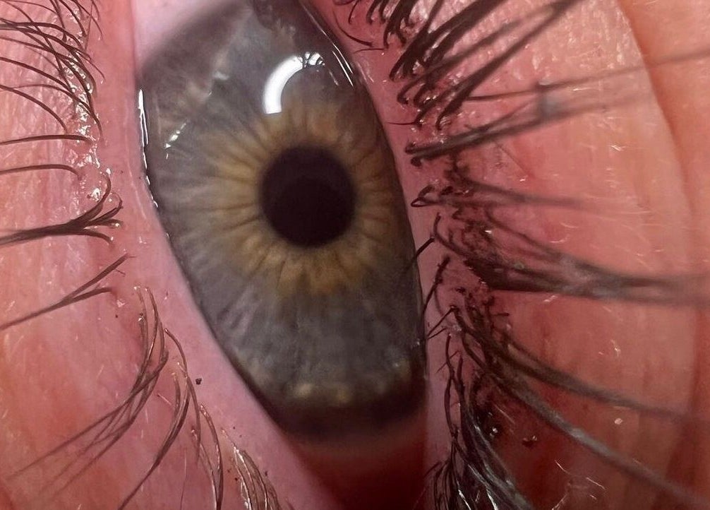 Close-up of styled lashes at Berry Boutique, Epsom, England, GB, showcasing beauty services.