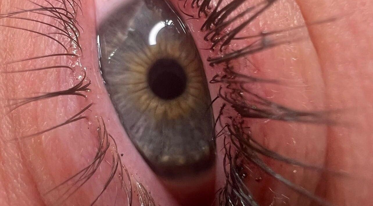 Close-up of styled lashes at Berry Boutique, Epsom, England, GB, showcasing beauty services.