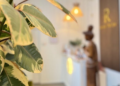 Lush green plant enhances spa ambiance at Remedy Thai Massage and Spa, Auckland, Auckland, NZ.