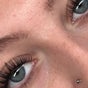 The Lavish Lash