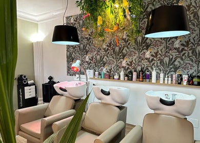 Lavabi moderni e piante sospese presso ID Parrucchieri a Capannoli, Toscana, IT.