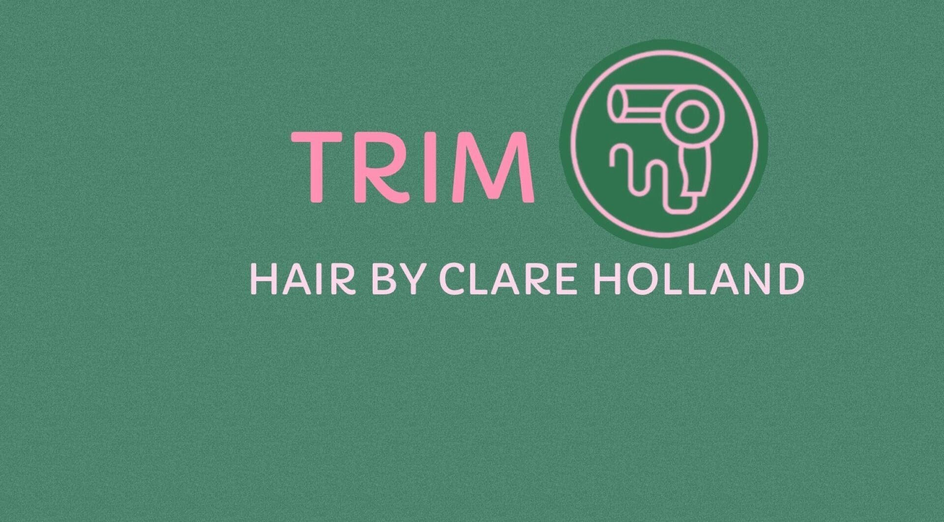Trim logo with hairdryer icon, Stafford, England, GB.