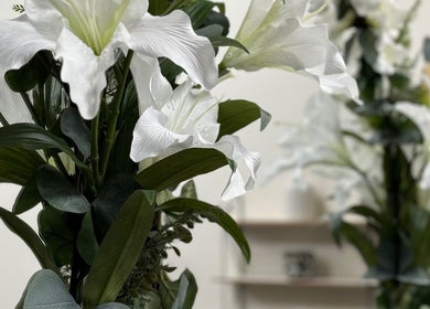 Elegant white lilies at AM Beauty Studios Kingsknowe, Edinburgh, Scotland, GB reflect tranquil beauty.