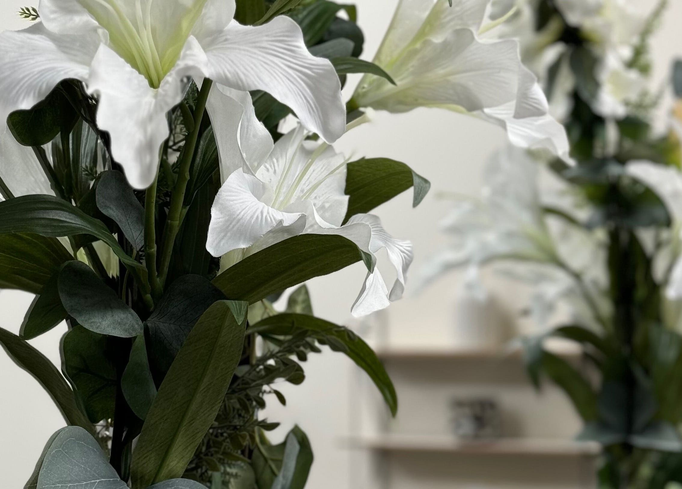Elegant white lilies at AM Beauty Studios Kingsknowe, Edinburgh, Scotland, GB reflect tranquil beauty.