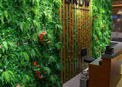 Lush green vertical garden inside Grow Organic Gents Salon, Dubai, AE, enhancing a serene reception area.