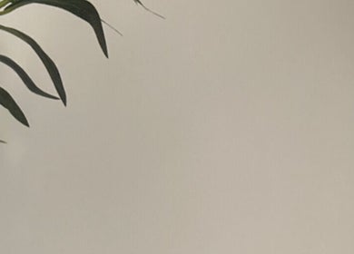 Tranquil interior with lush plant at Sculpt and Shape Kent Skin & Body Clinic, Kings Hill, England, GB.