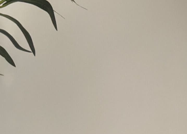 Tranquil interior with lush plant at Sculpt and Shape Kent Skin & Body Clinic, Kings Hill, England, GB.