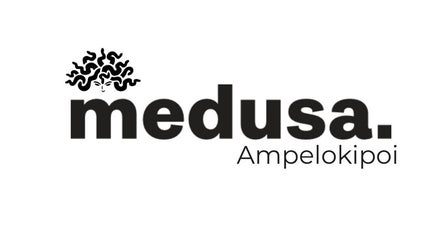Λογότυπο Medusa Ampelokipoi στη ΘΕΣΣΑΛΟΝΙΚΗ, GR για υπηρεσίες ομορφιάς και ευεξίας.