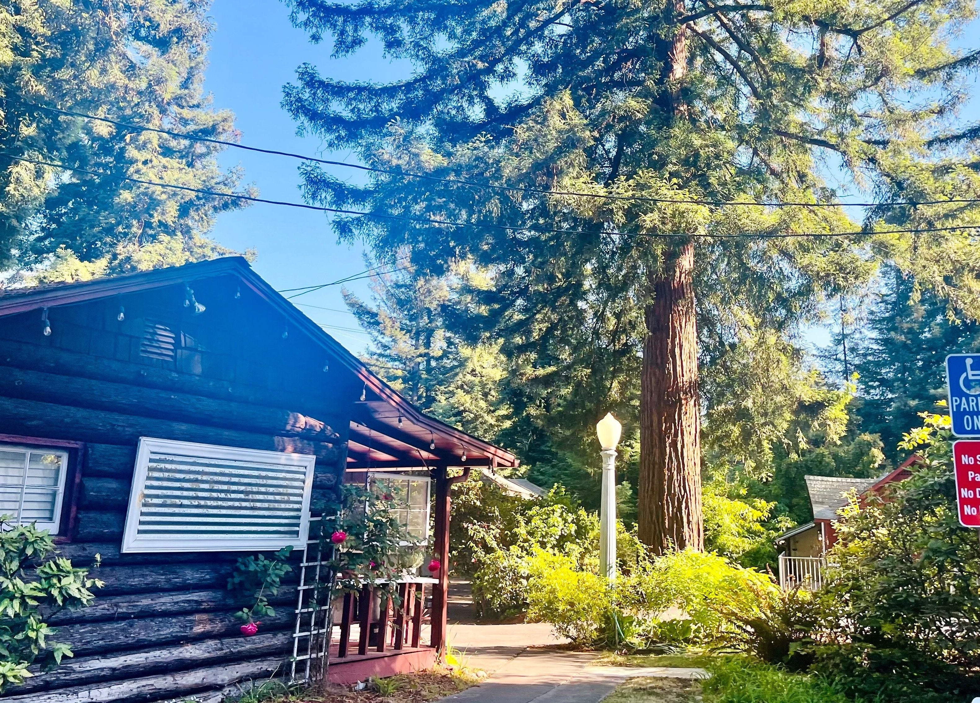Front view of Adorn Apothecary's rustic log cabin in Aptos, California, surrounded by lush greenery.