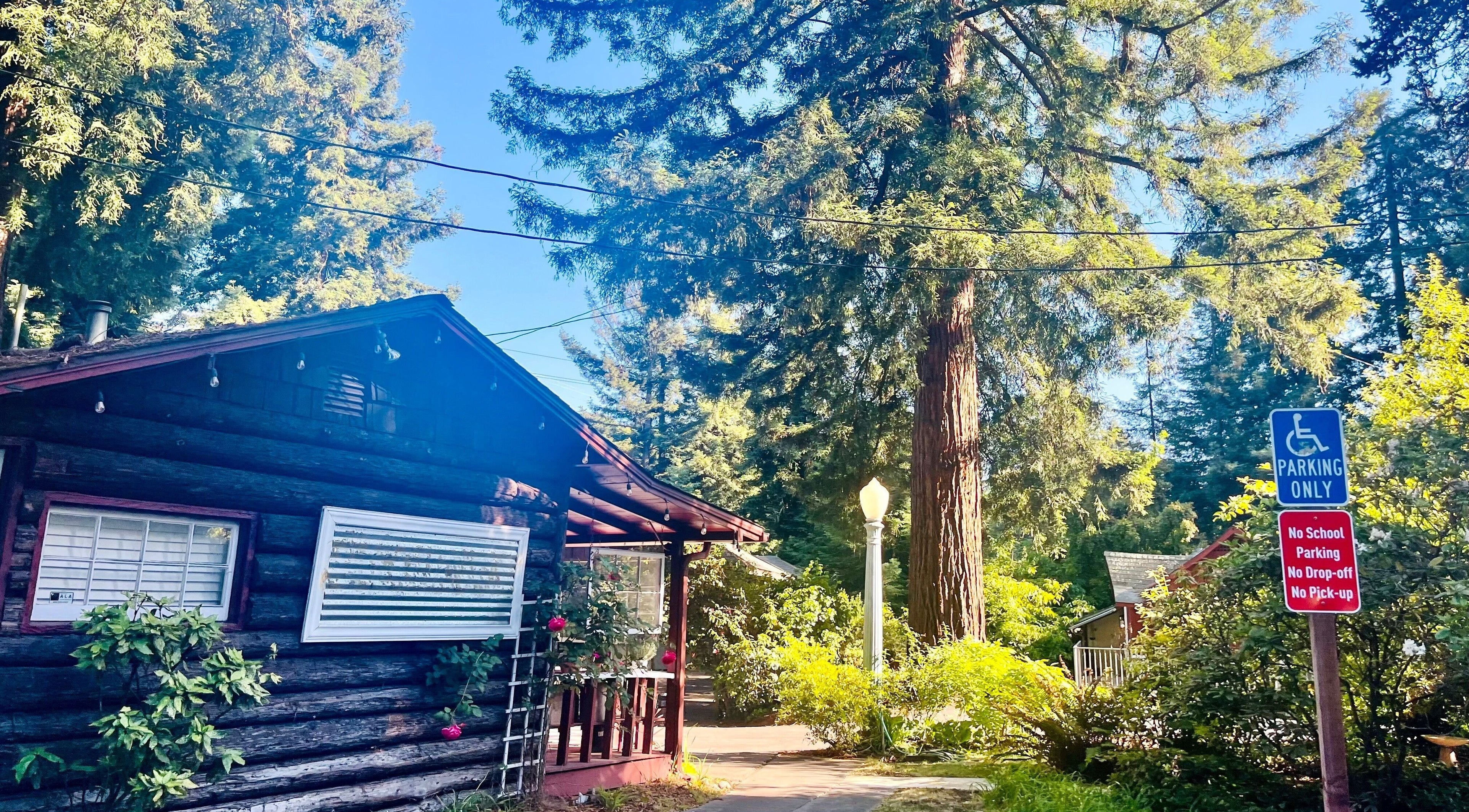 Front view of Adorn Apothecary's rustic log cabin in Aptos, California, surrounded by lush greenery.