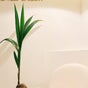 Milky Way Nail Studio - 1602, 16/F, Winway Building, 50 Wellington St., Central, Central, 香港島