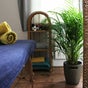 Merak Massage
