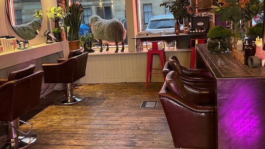 At 66 Hair and Lifestyle