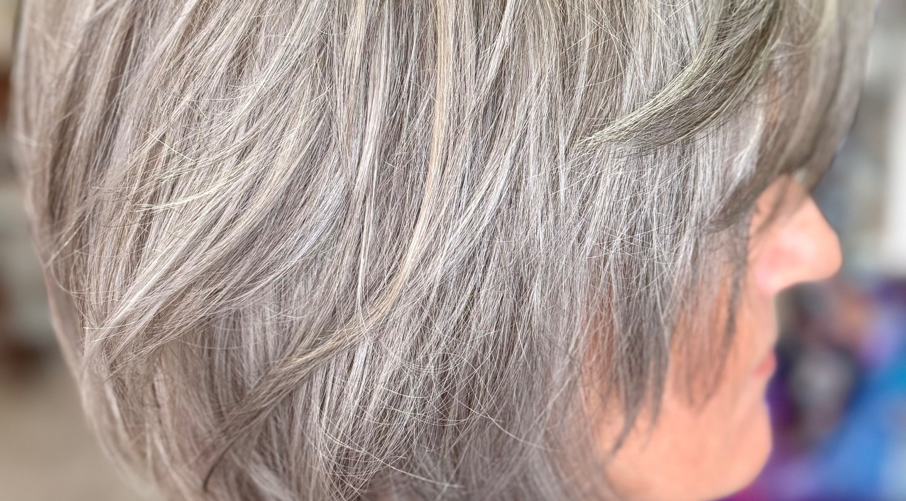 Elegant silver hairstyle at Carmenn’s Hair Artistry, Roodepoort, Gauteng, ZA.