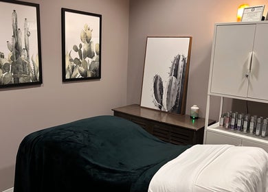 Cozy treatment room at Skin Therapy & Wellness in Fort Worth, Texas, US with cactus artwork and skincare products.