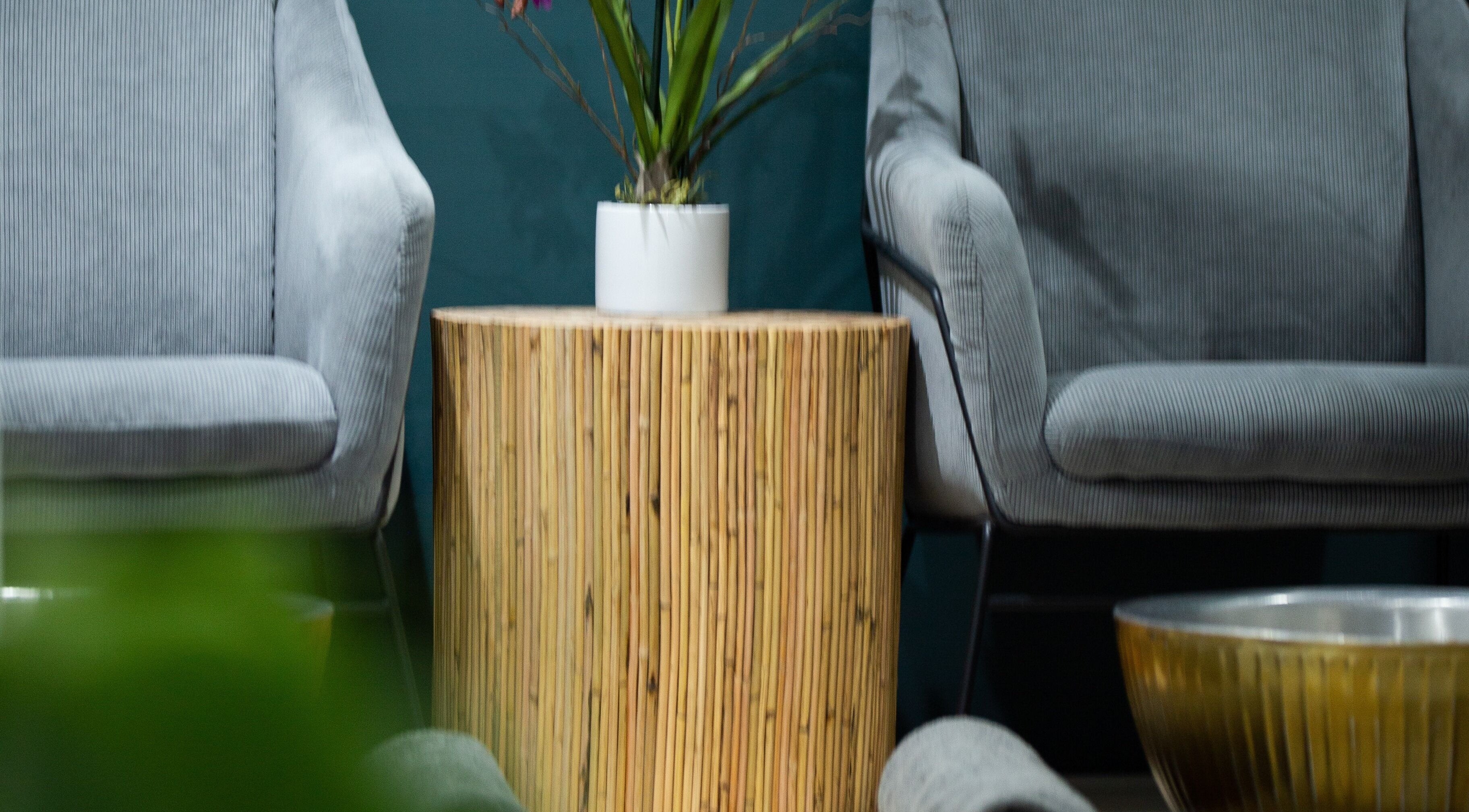 Elegant seating area at Skinx Durbanville, Cape Town, Western Cape, ZA with plants and modern decor.