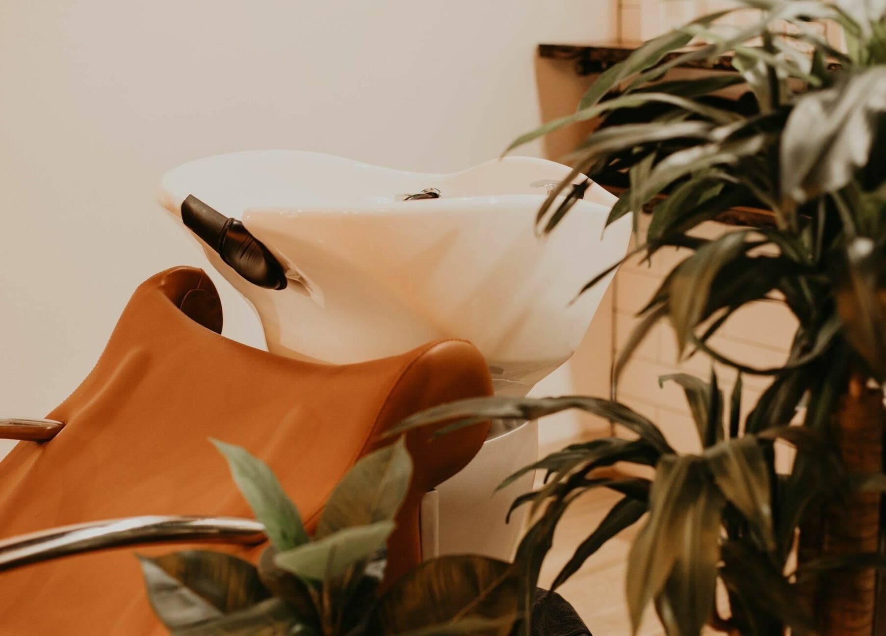 Hair washing station at Whitefox Styling, Amarillo, Texas, US, surrounded by lush greenery.