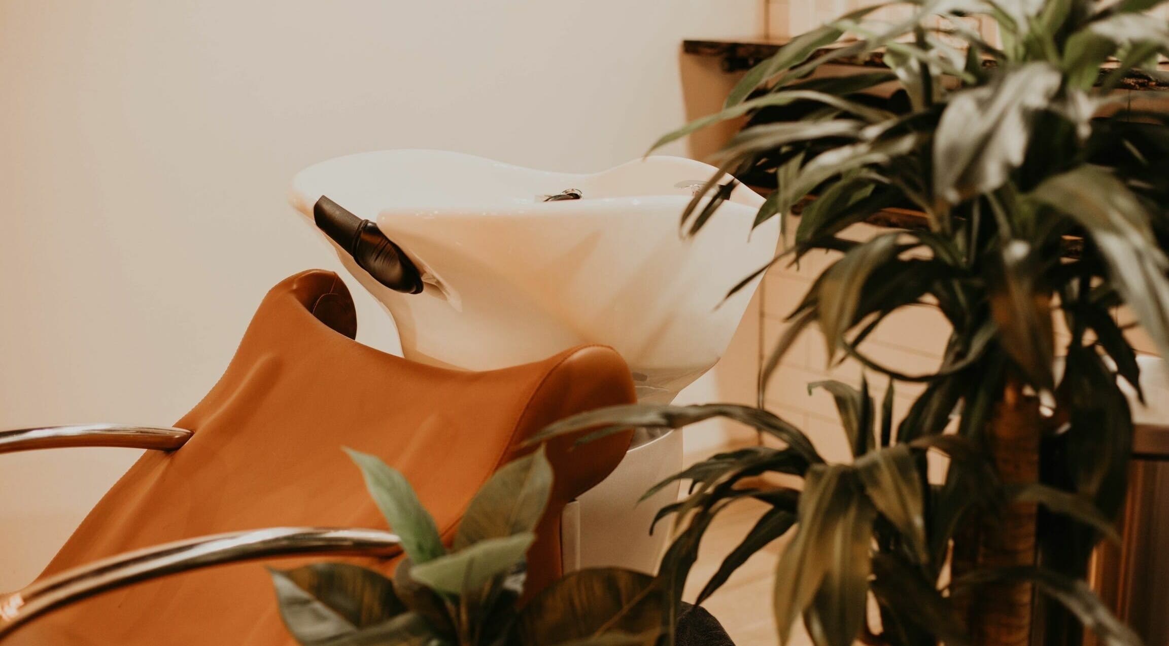 Hair washing station at Whitefox Styling, Amarillo, Texas, US, surrounded by lush greenery.