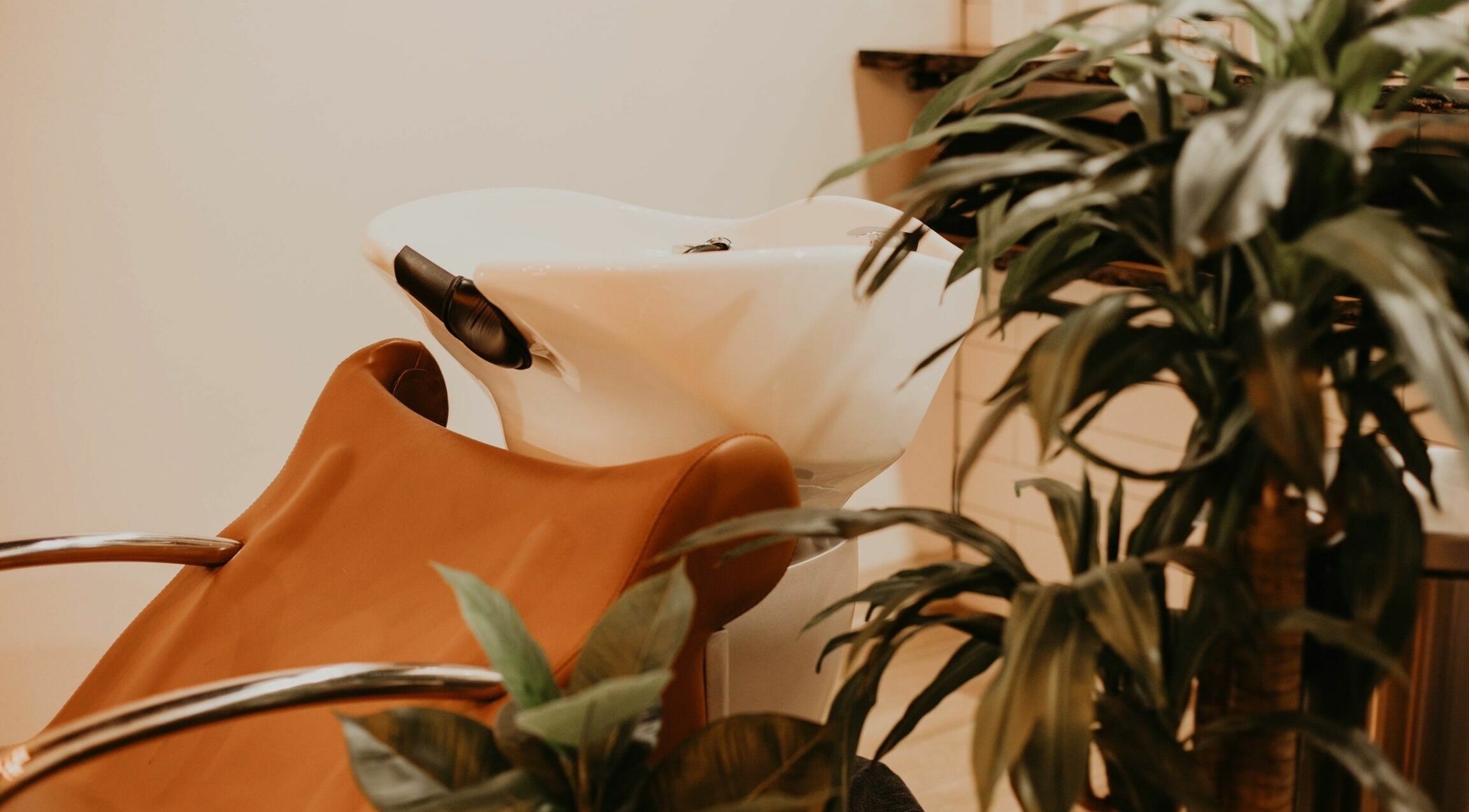 Hair washing station at Whitefox Styling, Amarillo, Texas, US, surrounded by lush greenery.