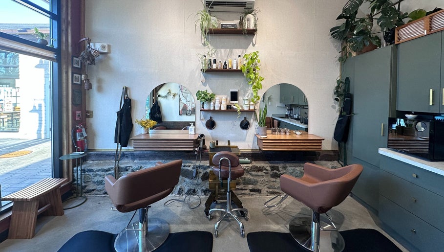 Modern interior of Bellwether Salon in Boston, Massachusetts, US with stylish chairs and lush greenery.