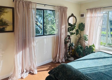 Sunlit room at Honey & Ginger Beauty, Te Aroha, Waikato, NZ, featuring lush plants and elegant decor.