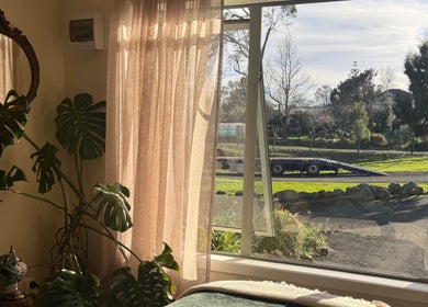 Bright room at Honey & Ginger Beauty, Te Aroha, Waikato, NZ, with large window and lush plant.