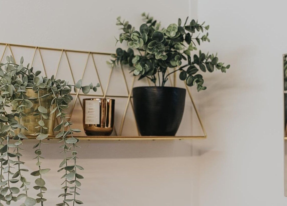 Chic gold shelf with lush greenery adding style to The Glow Up Clinic, Fareham, England, GB.