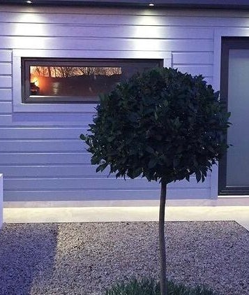 Peaceful garden view at The Relaxation Room Leixlip, Leixlip, County Kildare, IE, featuring lush greenery.