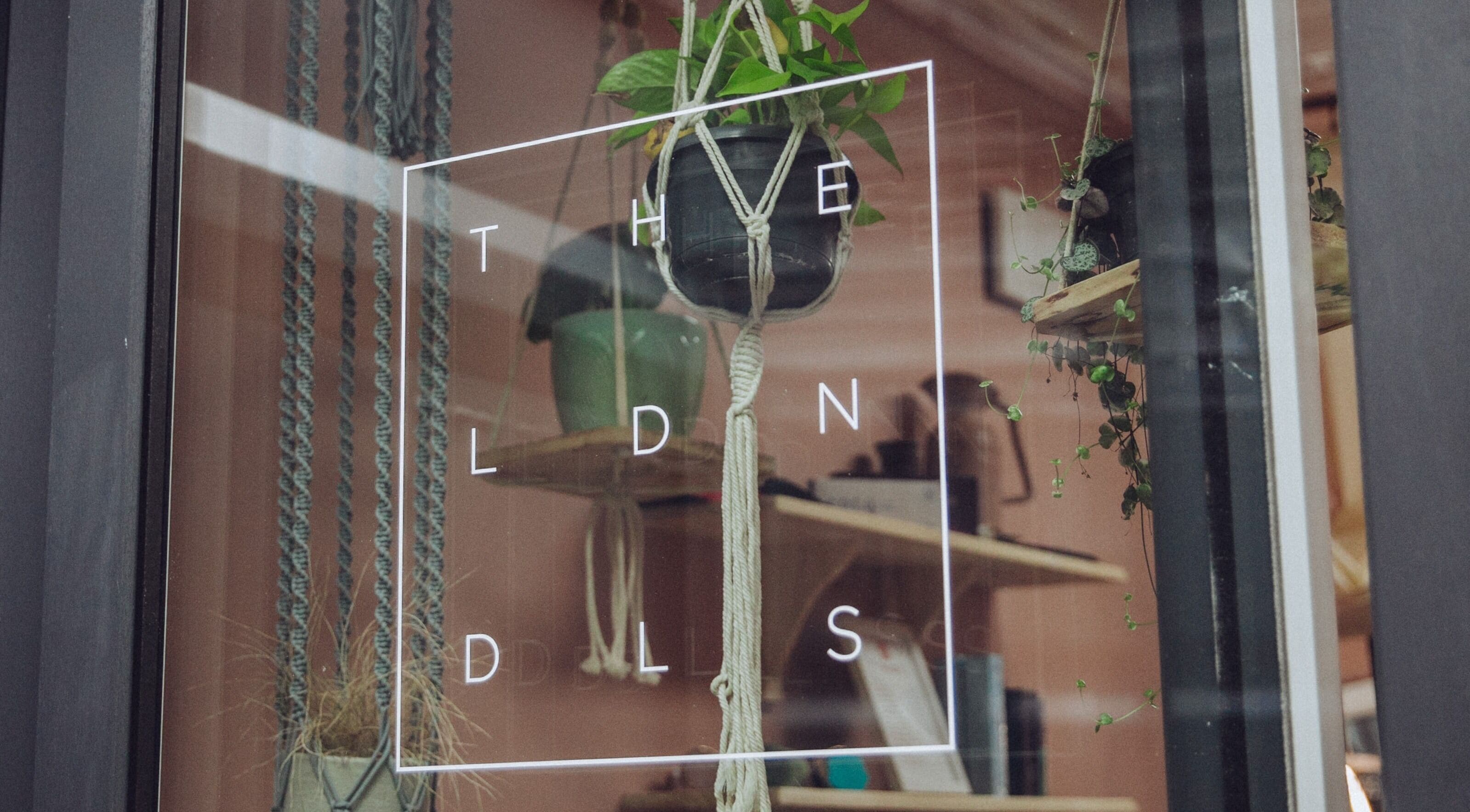 The London Dolls Aesthetics window with hanging plants in London, England, GB.
