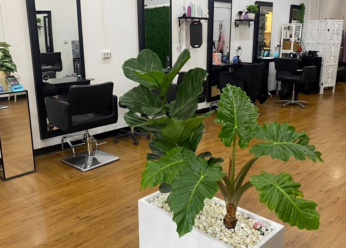 Modern interior of Polaris Hair Salon Raceview in Raceview, Queensland, AU with stylish plants and salon chairs.