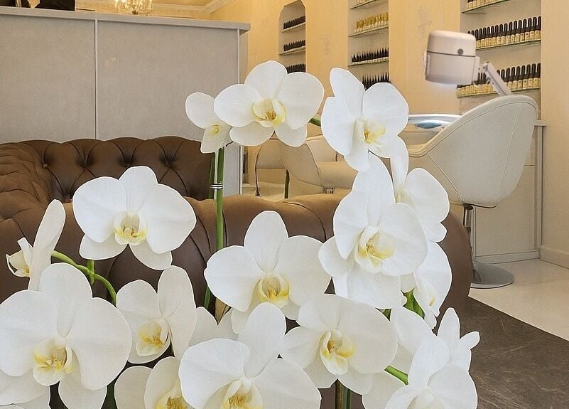 Délicate orchidée blanche chez RuzaNails à Marseille, Provence-Alpes-Côte d'Azur, FR.