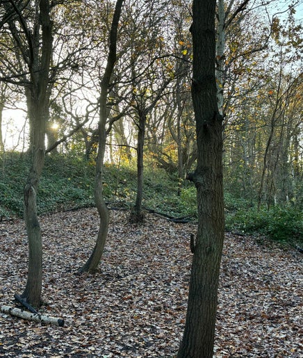 Immagine 2, Buckthorne Cutting Nature Reserve