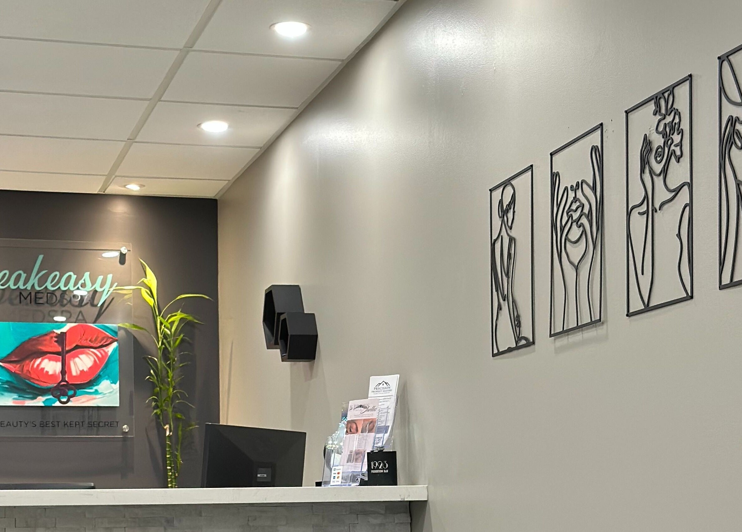 Reception and decor at Speakeasy Med Spa, Hamilton, Ontario, CA. Elegant and modern design.