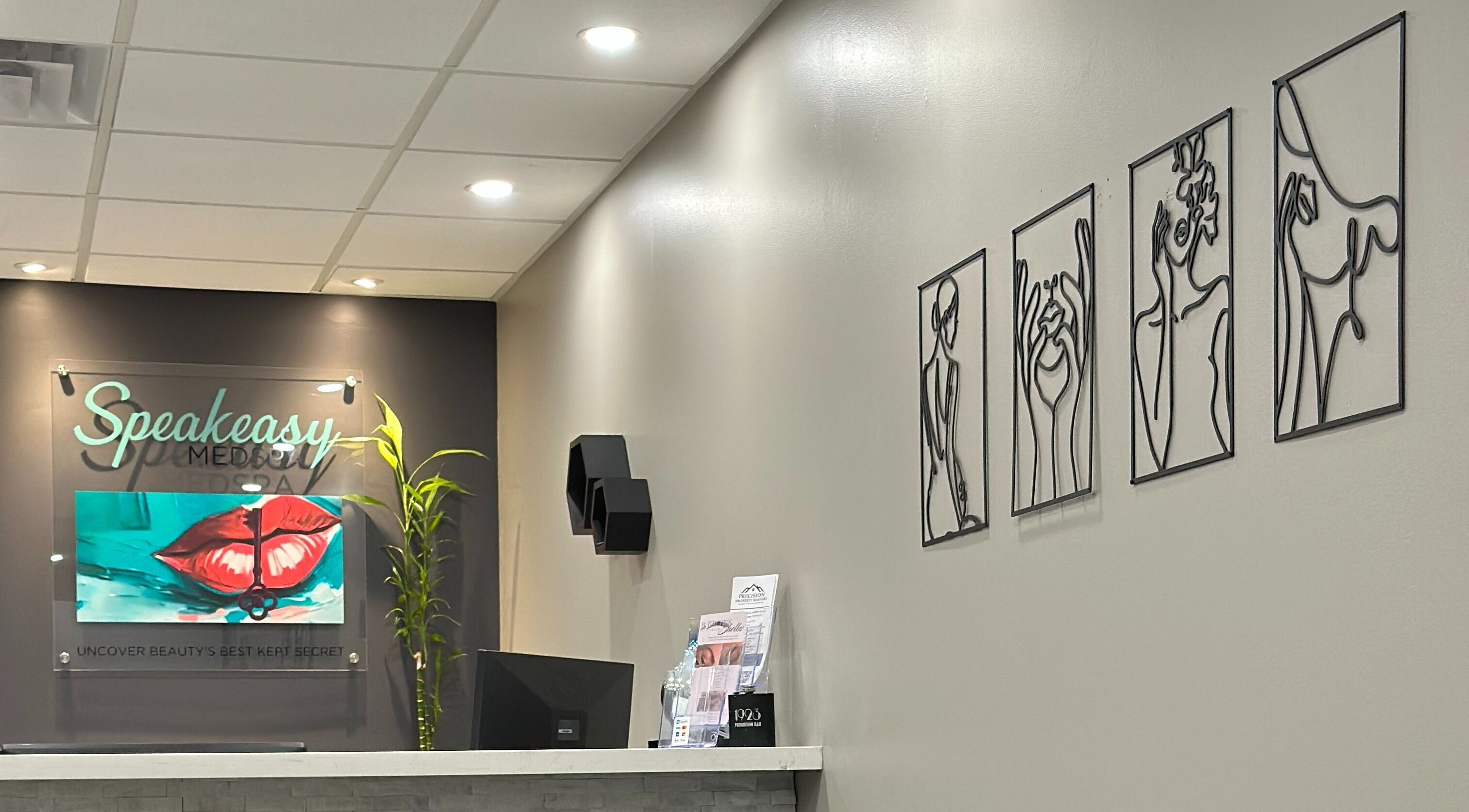 Reception and decor at Speakeasy Med Spa, Hamilton, Ontario, CA. Elegant and modern design.