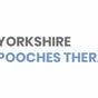 Yorkshire Pooches Therapies on Fresha - Altofts Ln, UK, Altofts Lane, 4, Castleford, England
