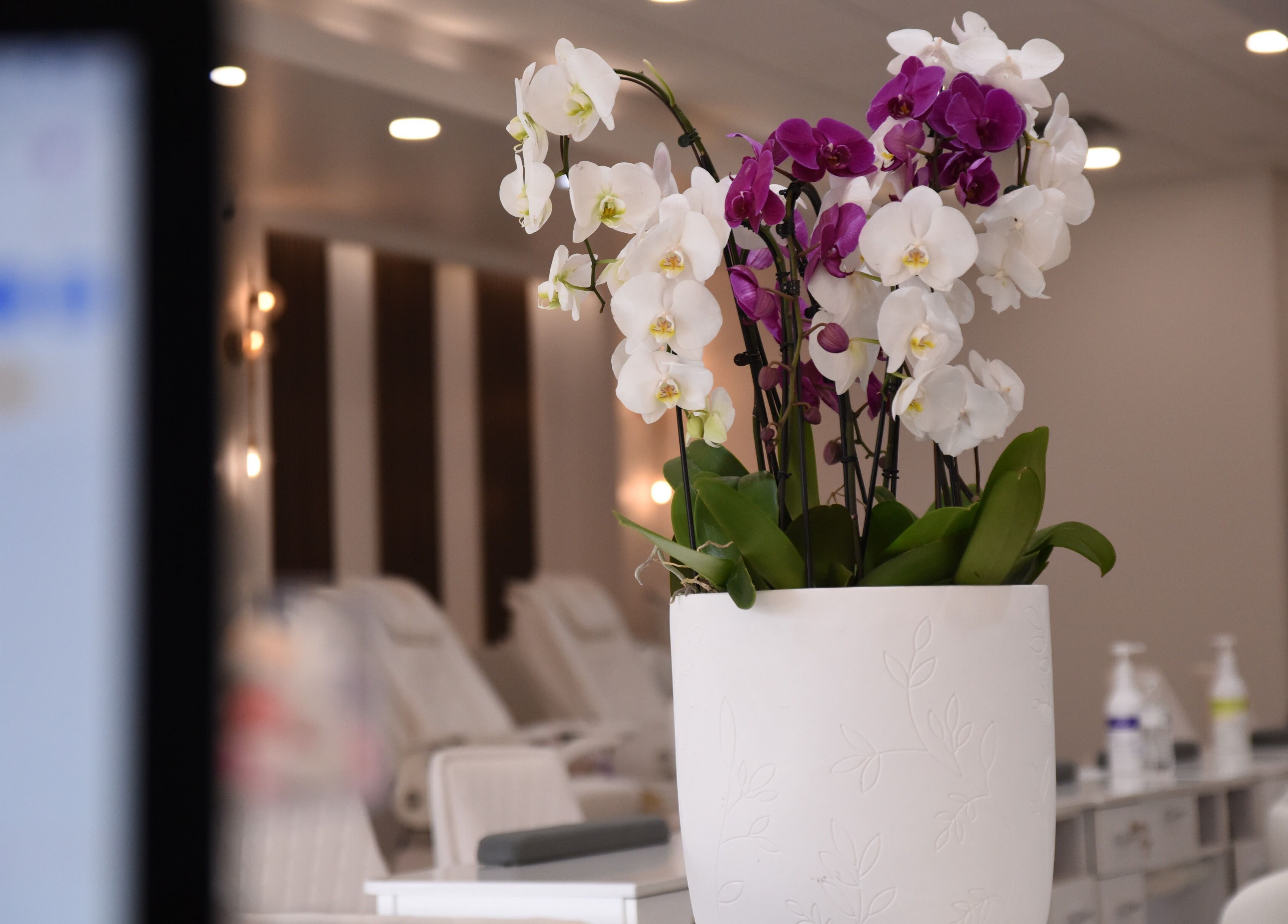 Elegant orchids at NT Nail Lab in Sauk Rapids, Minnesota, US, add a touch of luxury to the salon's tranquil ambiance.