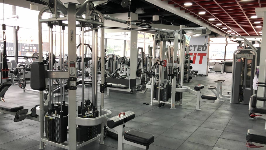 Total Package 901 Fitness – kuva 1