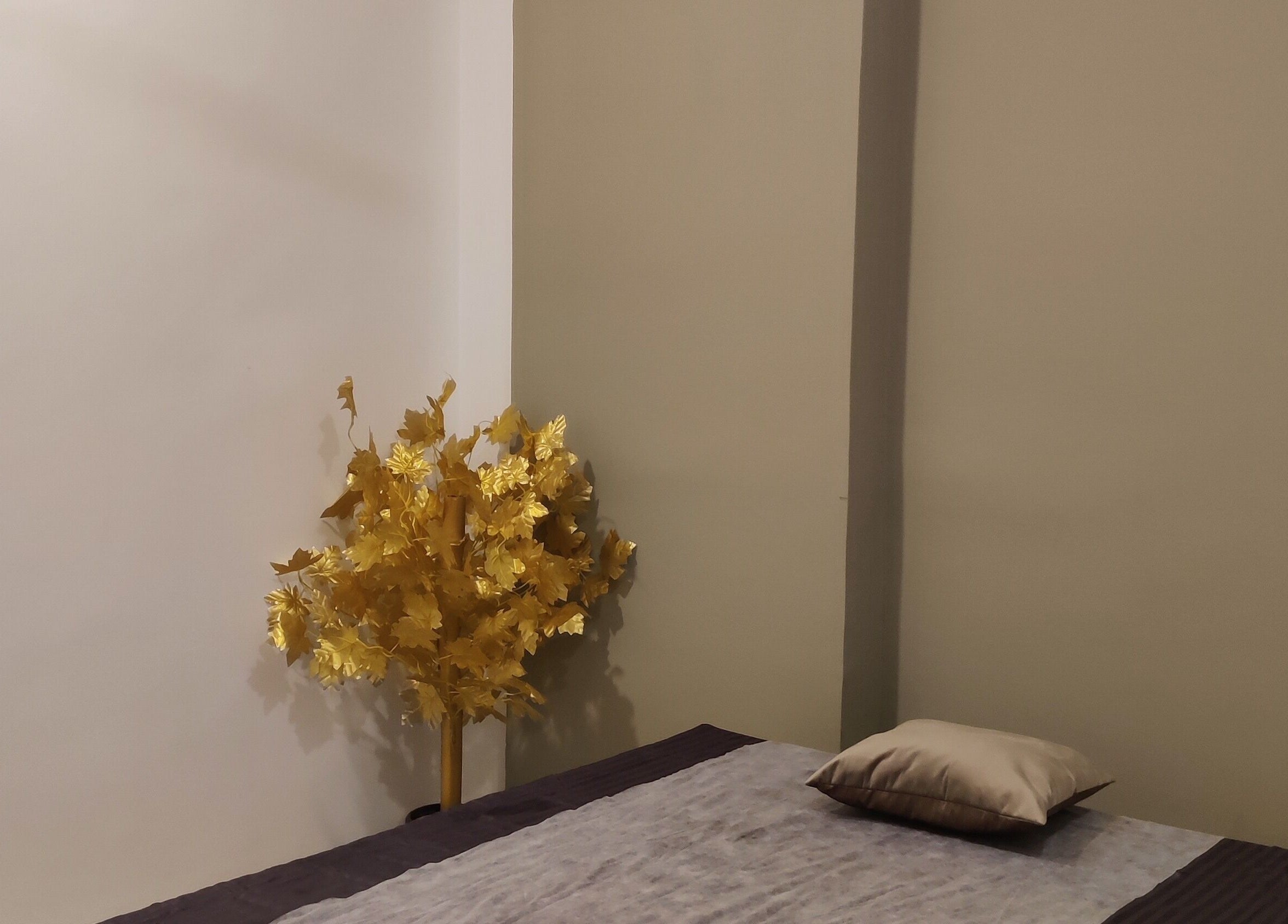 Elegant massage room at Absolute Ace Unisex Spa and Salon, Raipur, Chhattisgarh, IN with soothing decor and golden accents.