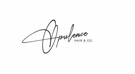 Opulence Hair and Co