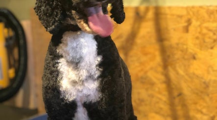 Vanity Fur Dog Grooming image 3