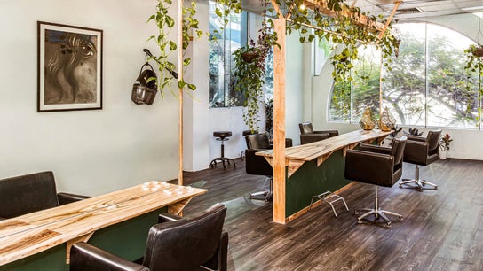 Chameleon New Age Salon