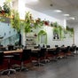 Chameleon New Age Salon 🌈 - 3171 Surfers Paradise Boulevard, Surfers Paradise, Queensland