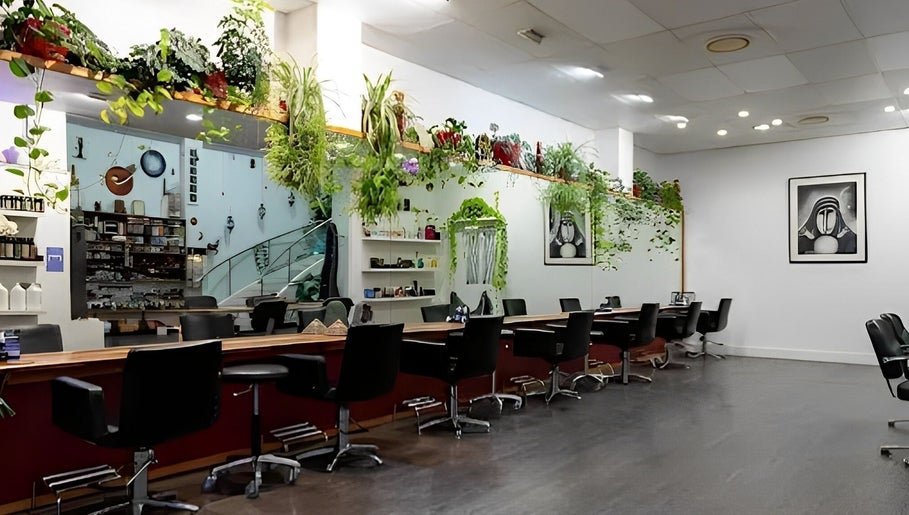 Interior of Chameleon New Age Salon 🌈 in Surfers Paradise, Queensland, AU, featuring stylish workstations and greenery.