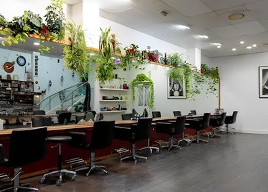 Interior of Chameleon New Age Salon 🌈 in Surfers Paradise, Queensland, AU, featuring stylish workstations and greenery.