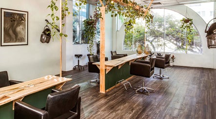 Tranquil, plant-filled interior of Chameleon New Age Salon in Surfers Paradise, Queensland, AU. Modern elegance.