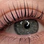 AR Lashes and Brows