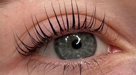 AR Lashes and Brows