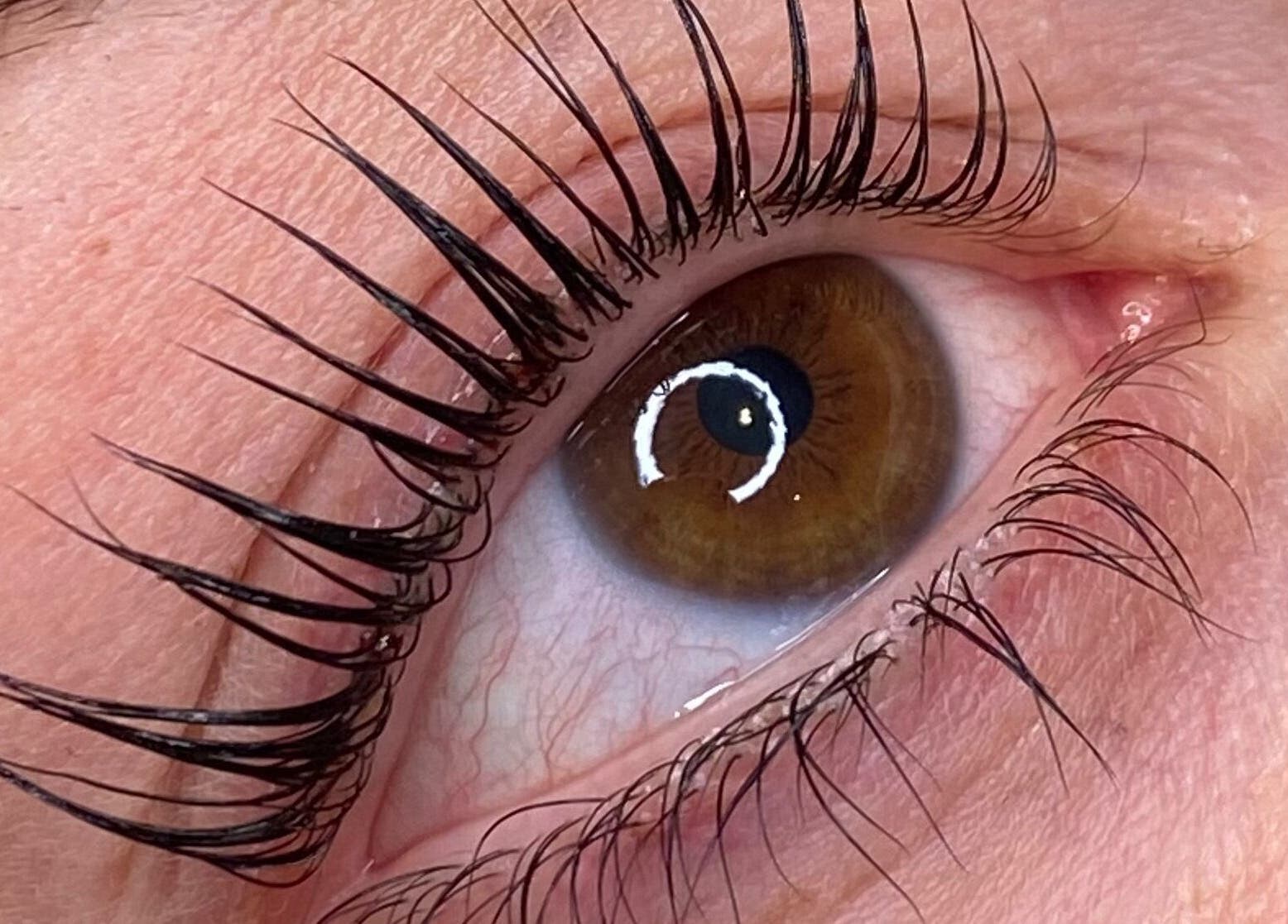Close-up of styled lashes at AR Lashes and Brows in Crayford, England, GB.