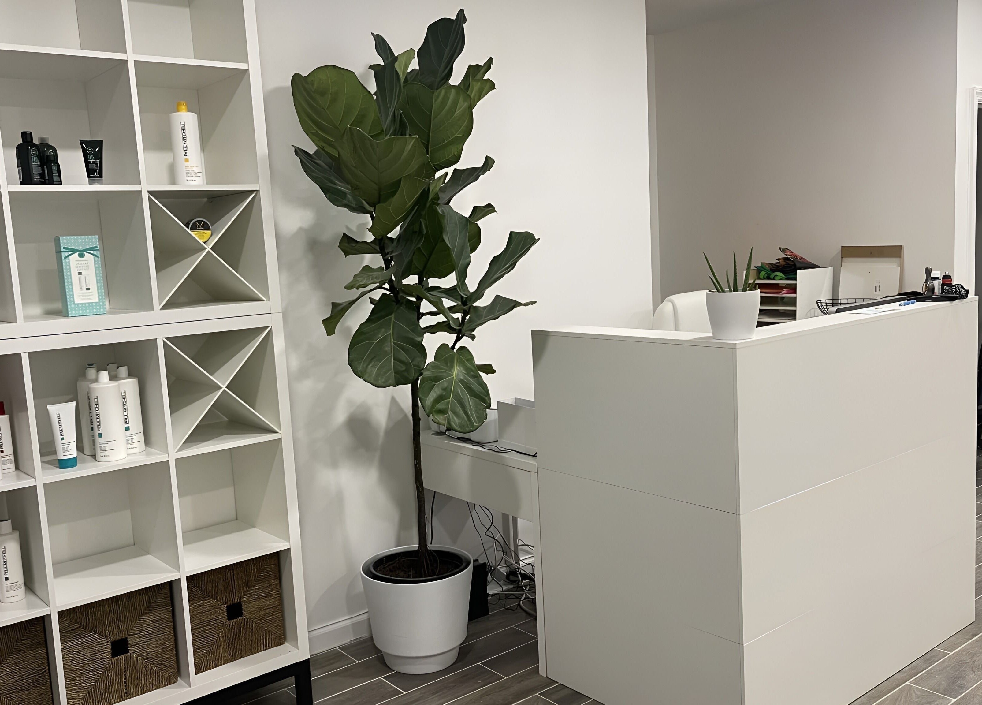 Modern reception area at Salon Lounge, New York, New York, US, with stylish shelving and greenery.