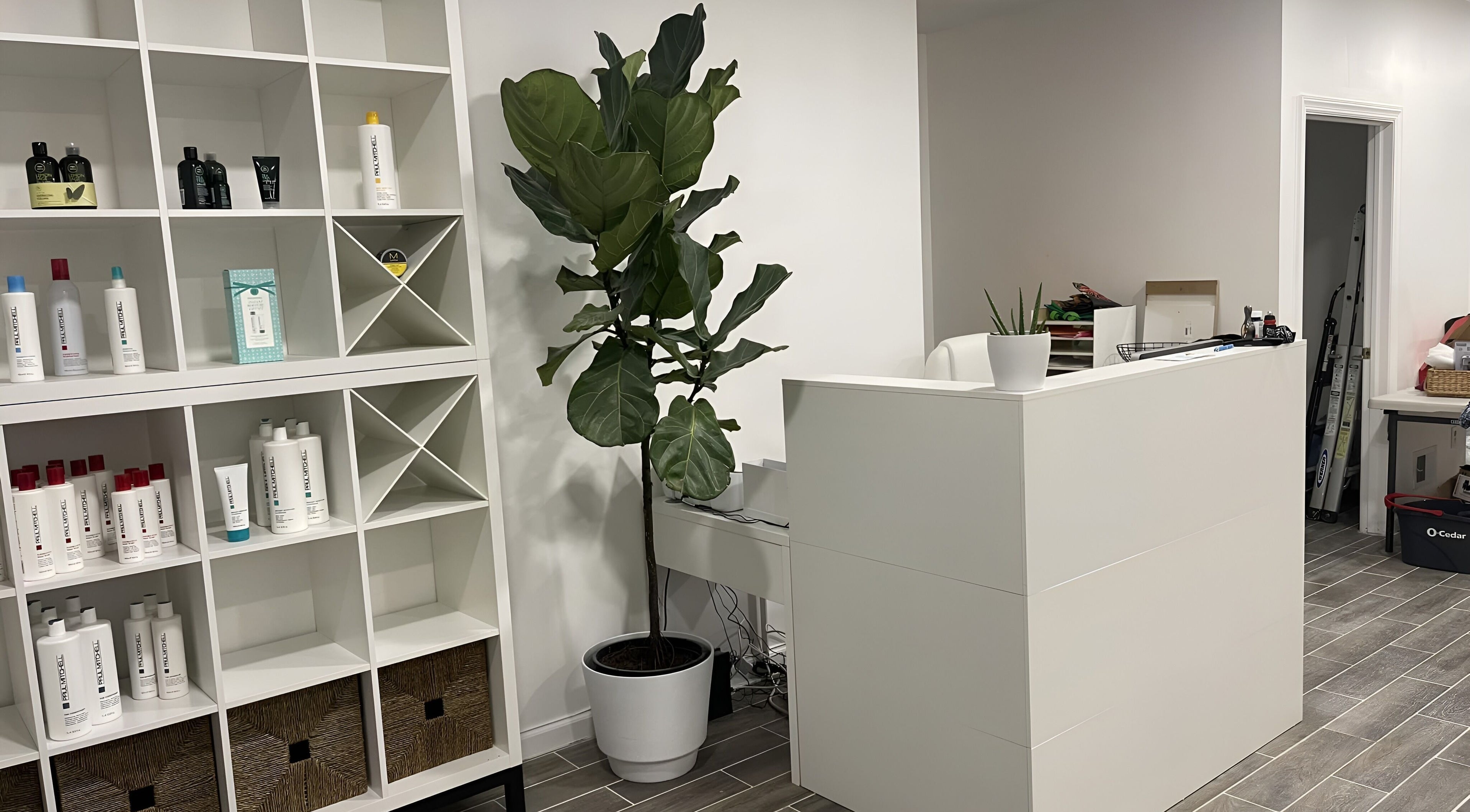 Modern reception area at Salon Lounge, New York, New York, US, with stylish shelving and greenery.